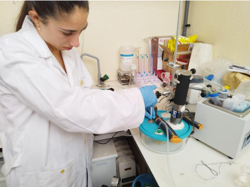 EstVerDEQ’26 Summer Programme at Instituto Superior Técnico